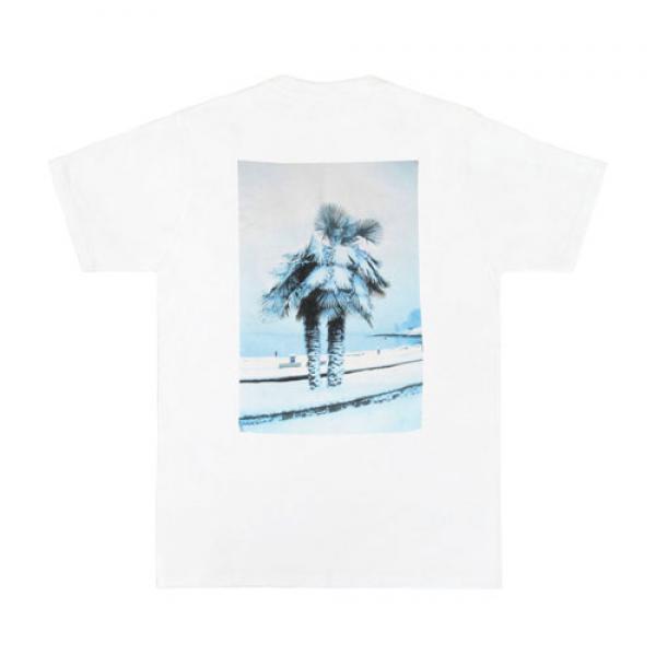 SNOW PALM TEE-WHT