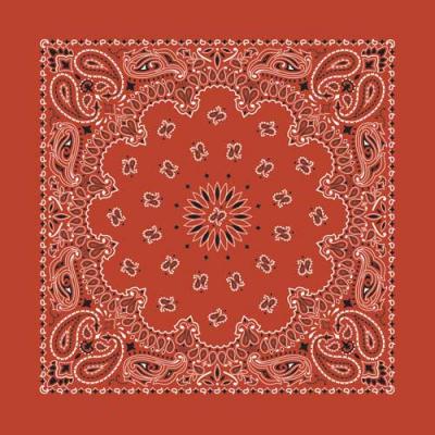Paisley Bandana-TERRACOTTA