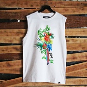 DB-051 BEACH PARROT