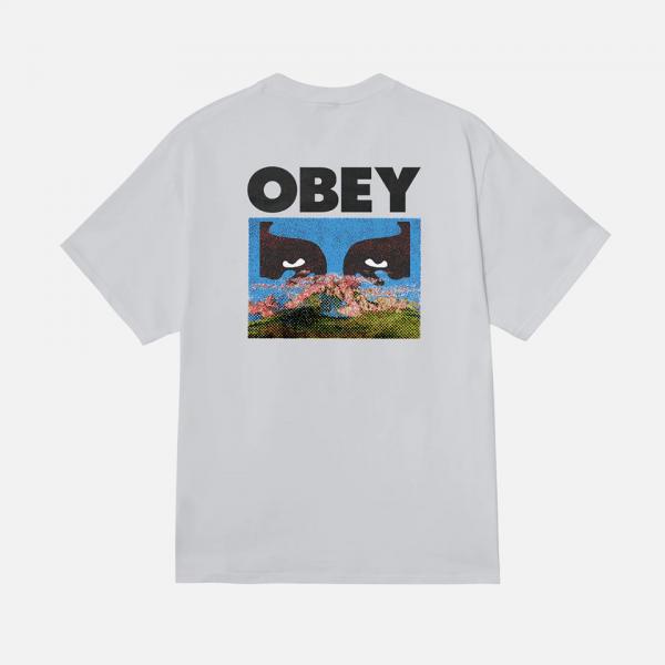 (165264223)   ۷Ʈ ÷̽ Ƽ WHITE